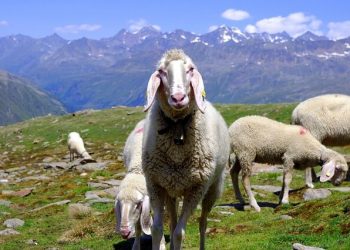 Ötz Valley in Tyrol | A Complete Guide for Your Visit