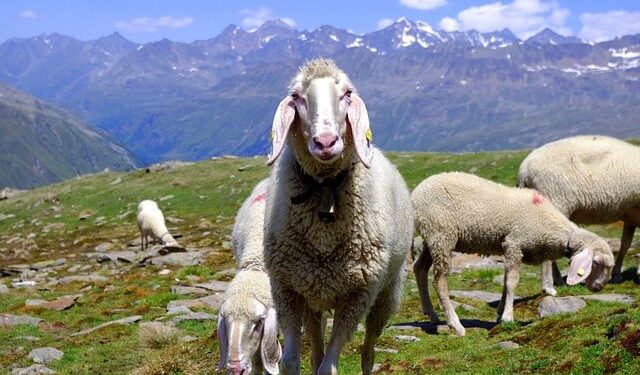 Ötz Valley in Tyrol | A Complete Guide for Your Visit