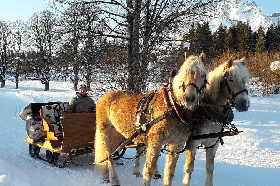 Horse-drawn sleigh. Courtesy of Kielerhof