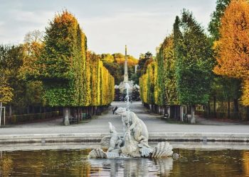 Weather in Vienna | When to Fly & What to Pack