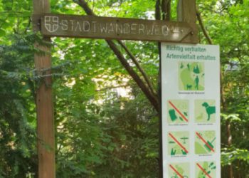 The wooden signs along the walking trails. Each trail has its own numbered signage.