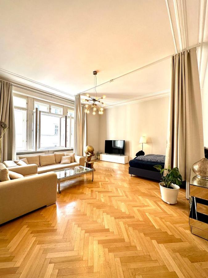 Spacious apartment on the main pedestrian street of Vienna's old town