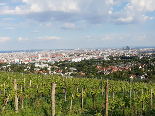 The view from the garden of the luxurious hotel. There's a spot for a picnic.
