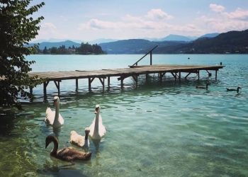 Lake Wörthersee - clear, warm water for summer fun