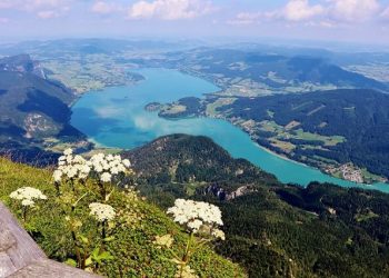 Schafberg | Amazing Views Over Austria’s Lake District