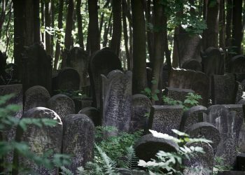 5 Less-Touristy Places in Vienna with Jewish History