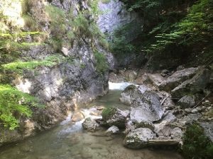 Wörschachklamm Canyon | An Experiential Hiking Trail