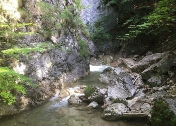 Wörschachklamm Canyon | An Experiential Hiking Trail