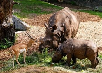 Schmiding Zoo and Water World