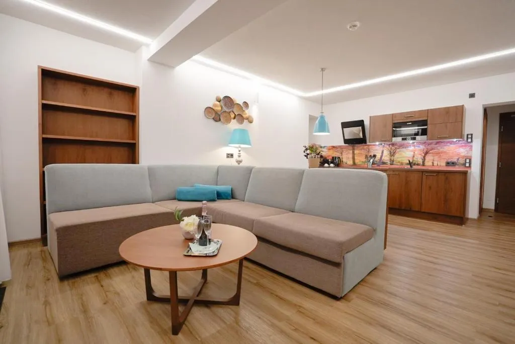A spacious, modern living room in one of the Boutique Apartments in Velden