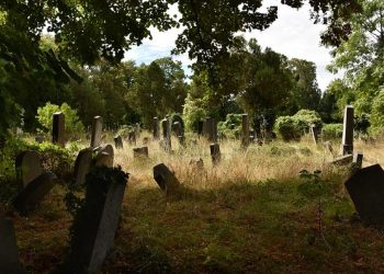 Vienna’s Central Cemetery | An Unconventional Attraction