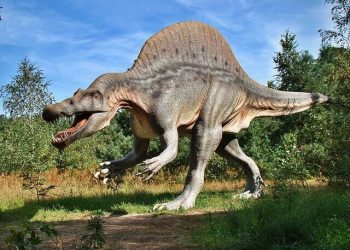 Triassic Park in Tyrol | A Prehistoric Family Experience!