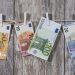 Purchasing Local Currency (Euro) in Advance for Your Trip to Austria