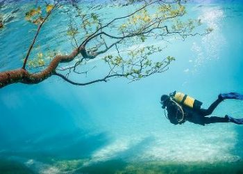 The Green Lake in Styria | An Extraordinary Natural Wonder!