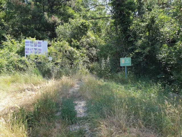 The entrance to the walking trail to the top of the hill.