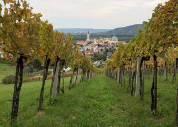 Klosterneuburg | An Easy Day Trip From Vienna