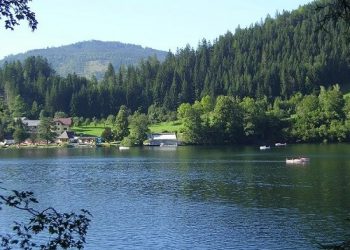 Lake Lunz | Serene Nature in the Heart of Austria