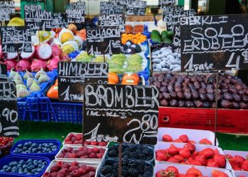 Naschmarkt & the Flea Market of Vienna
