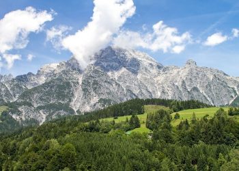 Kalkalpen National Park | A Nature Gem in Upper Austria