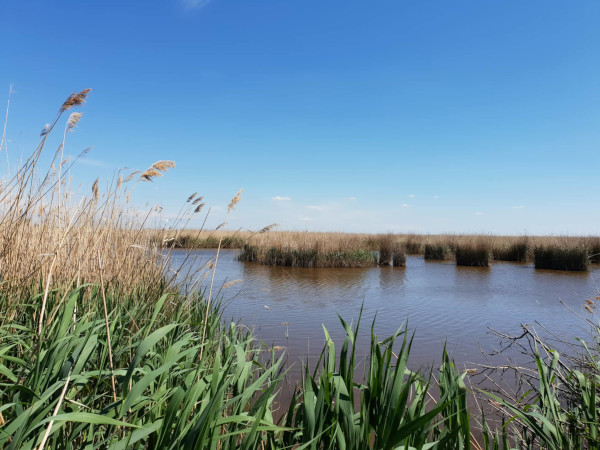 The special lake – Neusiedl