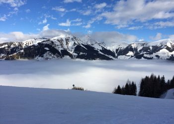 Rauris Valley | Birds of Prey Show at Hochalm & Gold Panning
