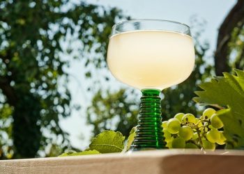 Vienna’s Wine Culture | The Vienna Vineyard Region and Wine Cellars