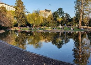 Stadtpark | Vienna City Park Near the Old Town