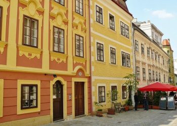 Behind the Scenes of Vienna | Guided Tour