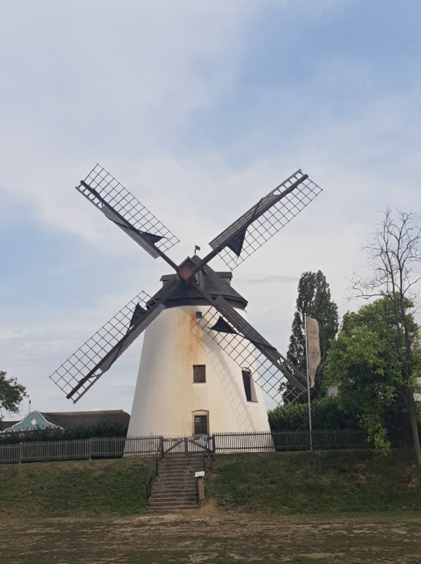 The old windmill