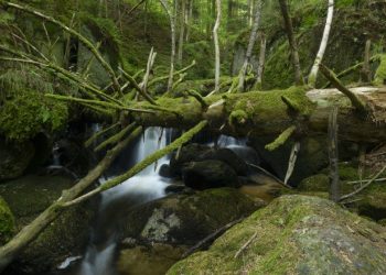 Ysper Valley | Ysper Gorge and Spa Near Wachau Valley